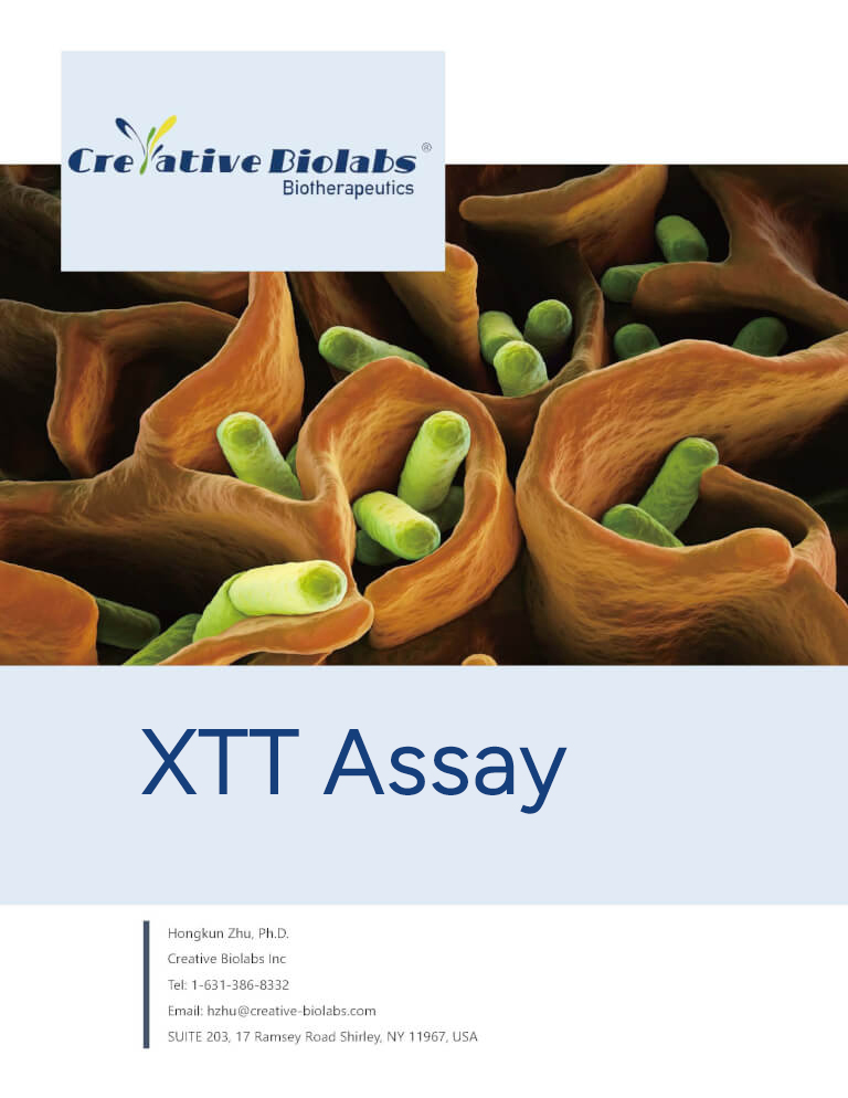 For the Dose-response Assay to Test the Inhibitory Effects on the Bacteria.